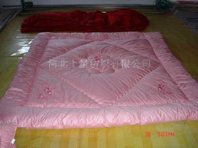  Embroider Bed Quilt