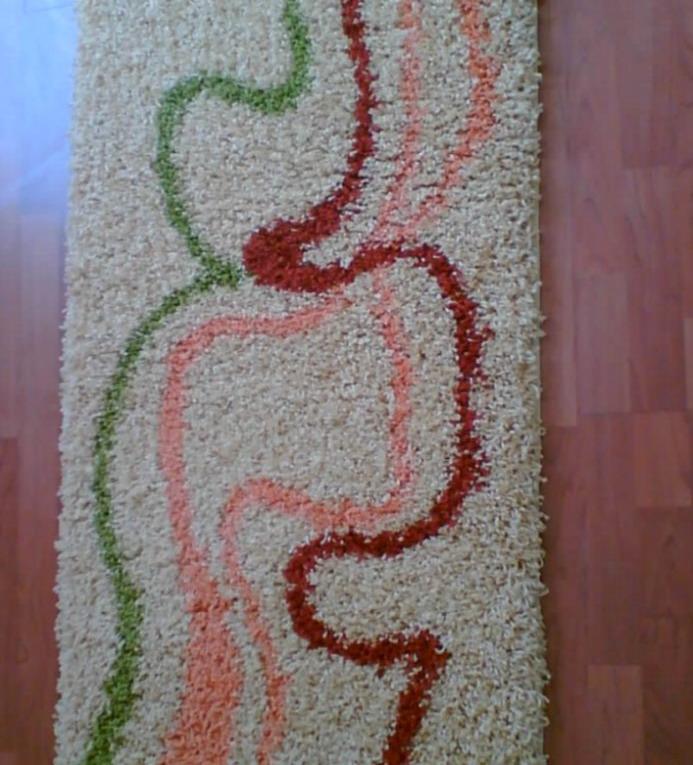 Shaggy Rugs