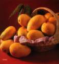 ing Mangos (Ing манго)