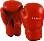 Martial Arts & Boxing Equipments (Единоборства & бокс оборудование)