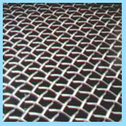 Stainless Steel Wire Mesh (Stainless Steel Wire Mesh)