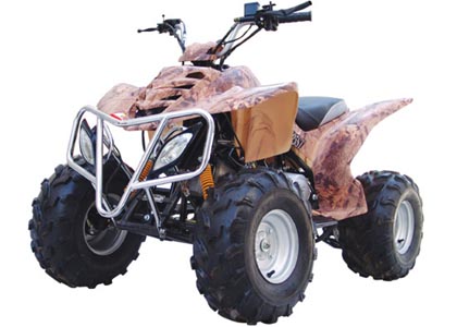 ATV / Quad 125cc (ATV / Quad 125cc)