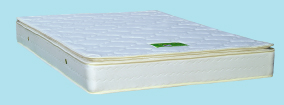  Invididual Spring Net (Invididual Spring Net)