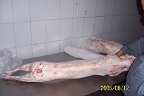  Halal Frozen Goat Carcass ( Halal Frozen Goat Carcass)