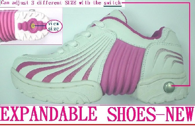  Expandable Shoe (Extensible à chaussures)