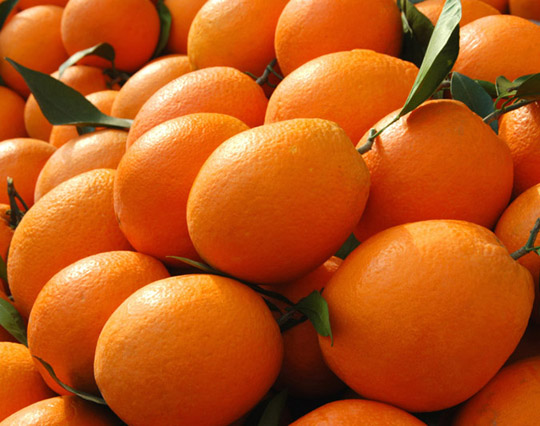 Navel Orangen (Navel Orangen)