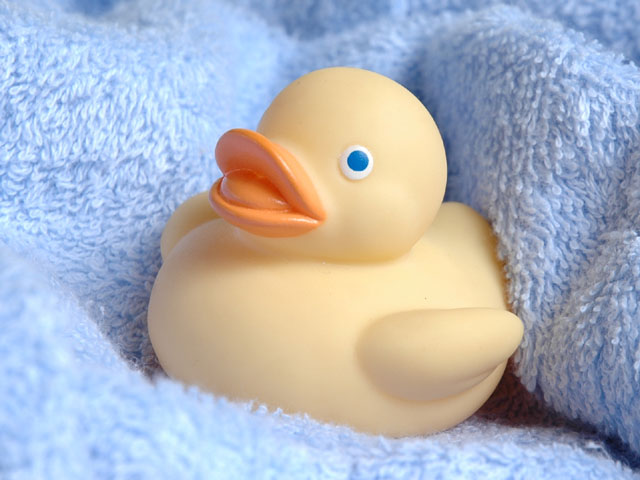  Squeeze Duck (Сожмите Duck)