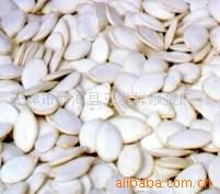  White Pumpkin Seeds (White Kürbiskerne)