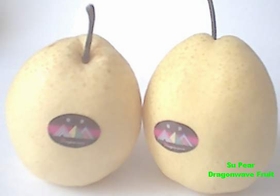  Chinese Su Pear (Crisp Pear, Gong Pear) (Китайский Су груша (Crisp груша, Гонг груша))