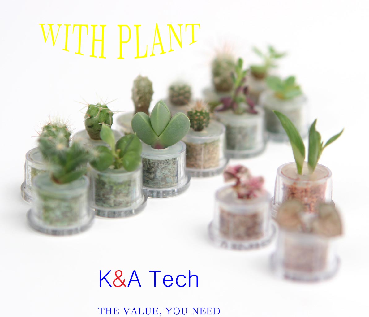 Mini-Plant (Mini-Plant)
