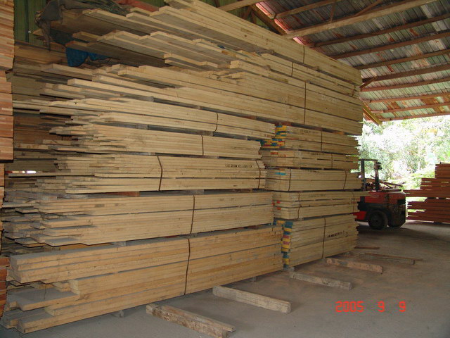  Kasah / White Mempisang / Koto Rough Sawn Timber