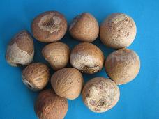  Betel Nuts - Supari (Betel Nuts - Supari)