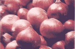  Onion (Лук)