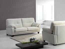  Modern Design Sofa