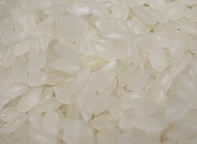  Egyptian Grain White Milled Rice Grade Natural And Camolino (Égyptienne des grains de riz blanc usiné pente naturelle Et Camolino)