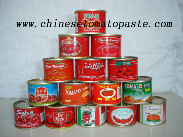  Chinese Tomato Paste (Chinois de pâte de tomate)