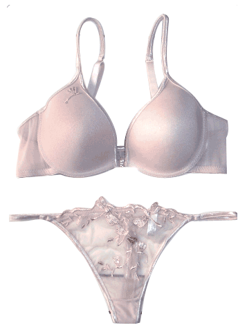  Bra, Lingerie, Panties, Thongs, Briefs