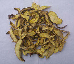  Boletus Edulis ( Boletus Edulis)