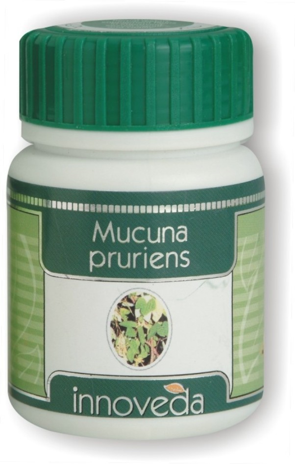  Mucuna Pruriens (Juckbohne)