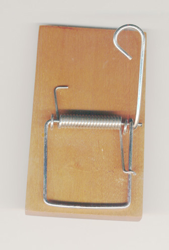  Wooden Document Clip