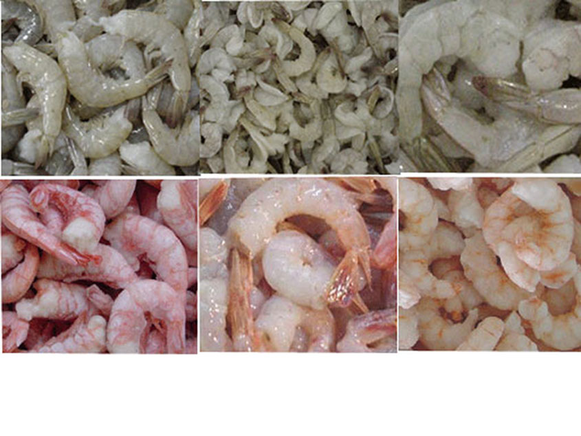  Hlso White Shrimp (Hlso Белая креветка)