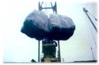  Container Bag