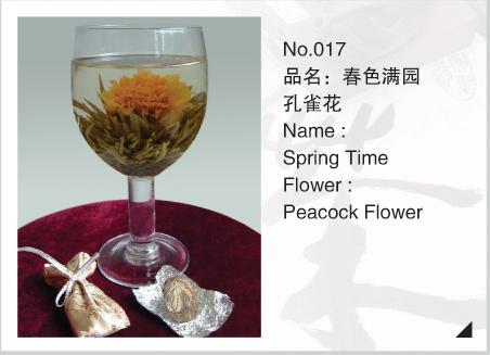  Peacock Flower Tea ( Peacock Flower Tea)