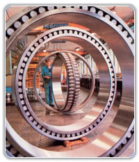  Large Size Bearing (Large Size Lager)
