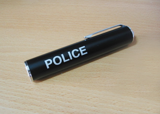 Electronic Whistle