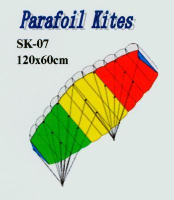 Parafoil Kite ( Parafoil Kite)