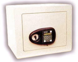 Seek Agents For Electronic Safes