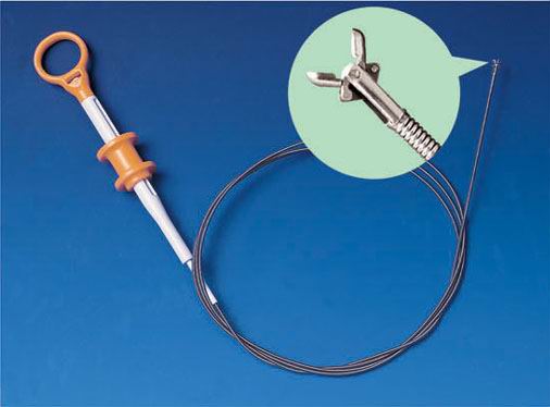  Needleless Biopsy Forceps & Biopsy Forceps With Needle (Nadellose Biopsiezangen & Biopsiezangen Mit Nadel)