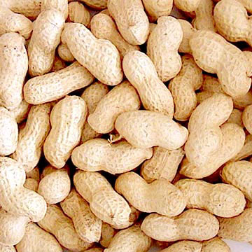  All Sizes Of Roasted Peanut In Shell (Все размеры жареный арахис В Shell)