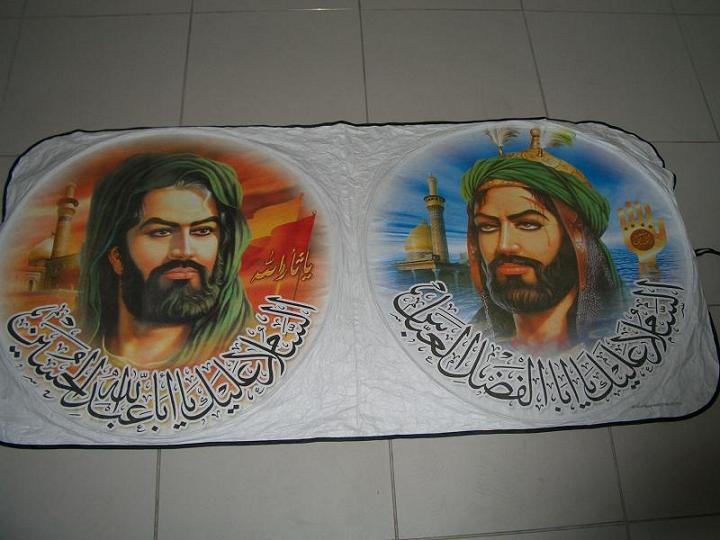  Tyvek Car Sun Shades ( Tyvek Car Sun Shades)