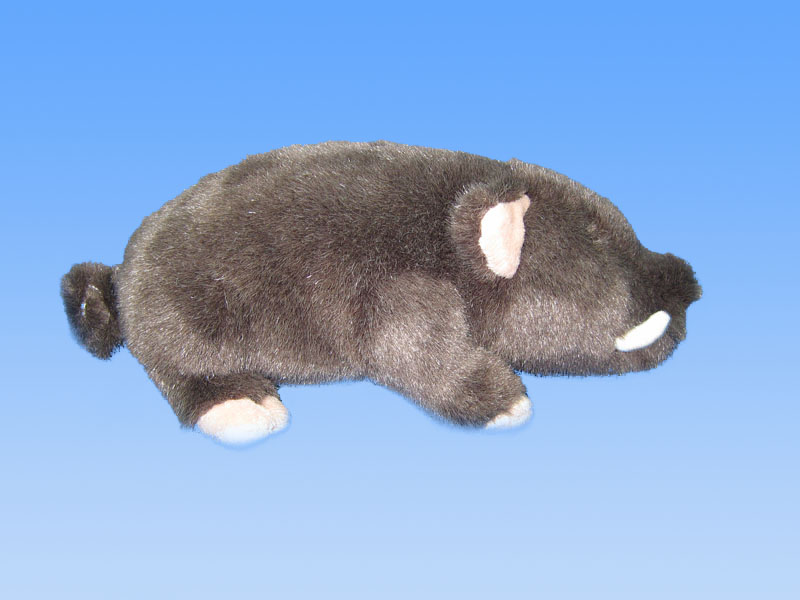  Toy Boar (Toy Sanglier)