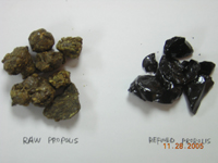  Propolis (Propolis)