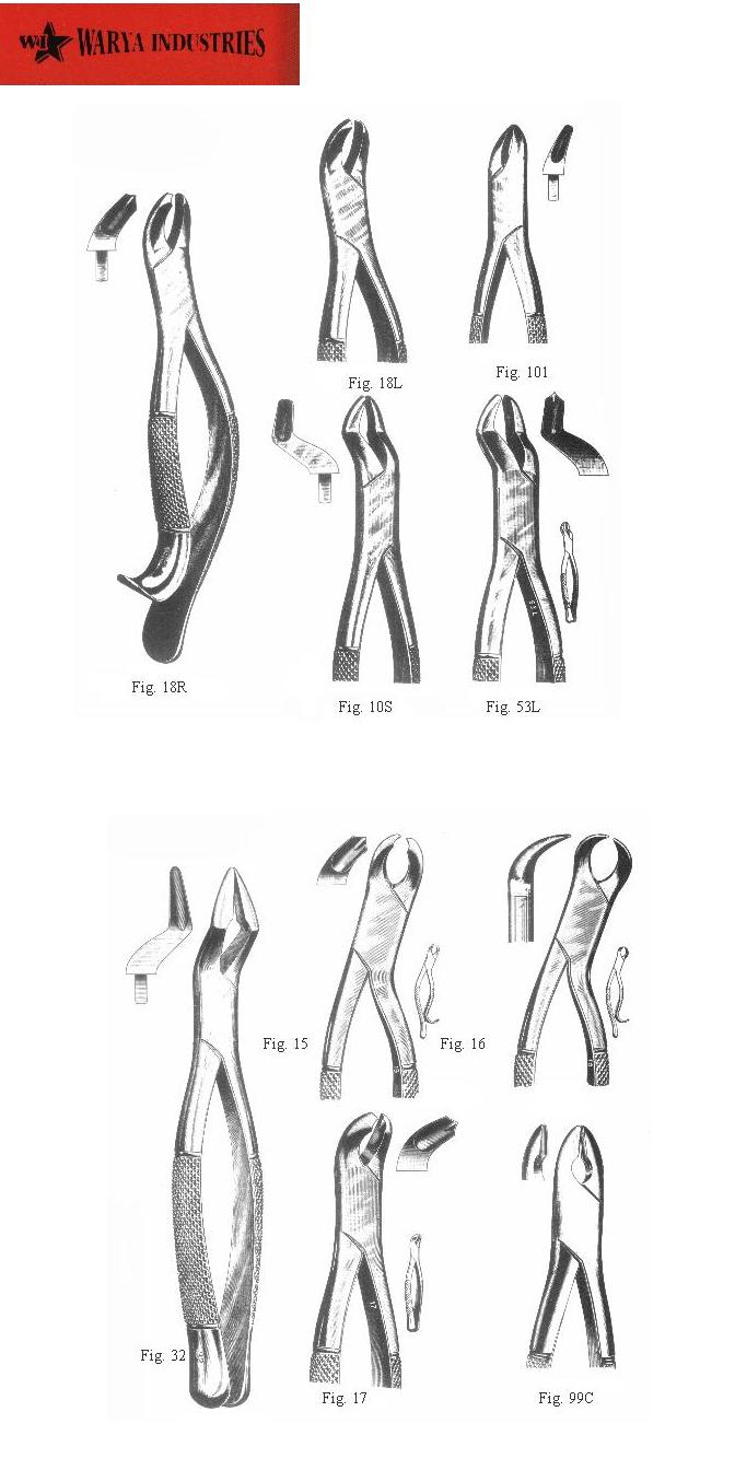  Extracting Forceps (Zahnzangen)