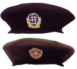  Military Beret (Военные беретов)