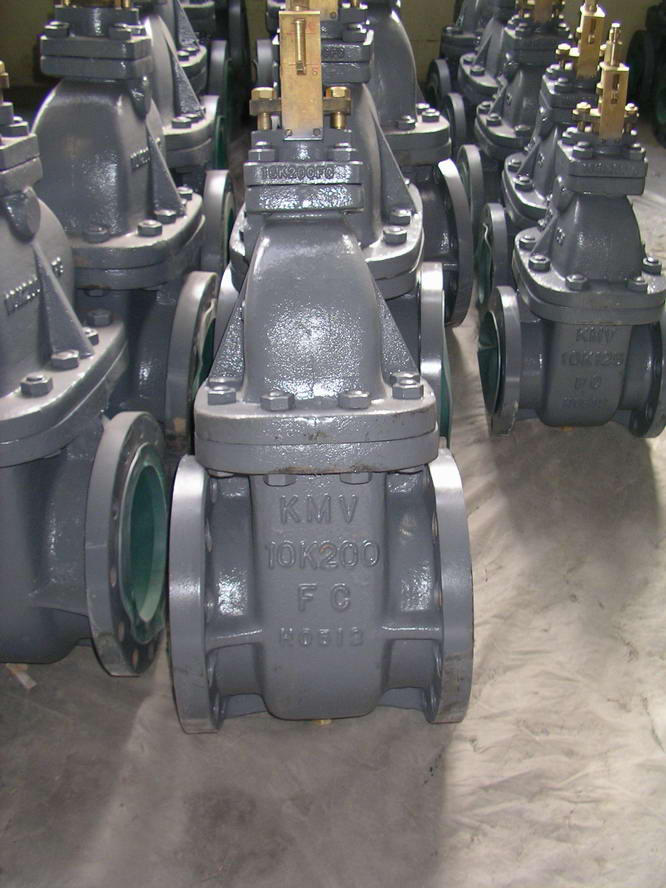  Marine Valve ( Marine Valve)