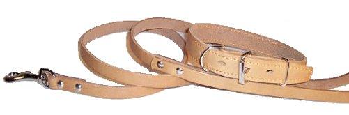  Natural Leather Dog Collars / Leashes