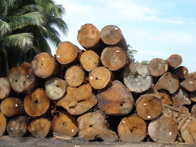  Balau Sawn Timber (Balau Пиломатериалы)