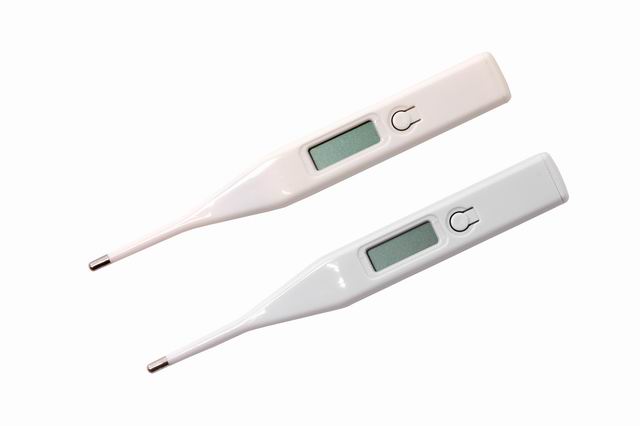  Digital Thermometer