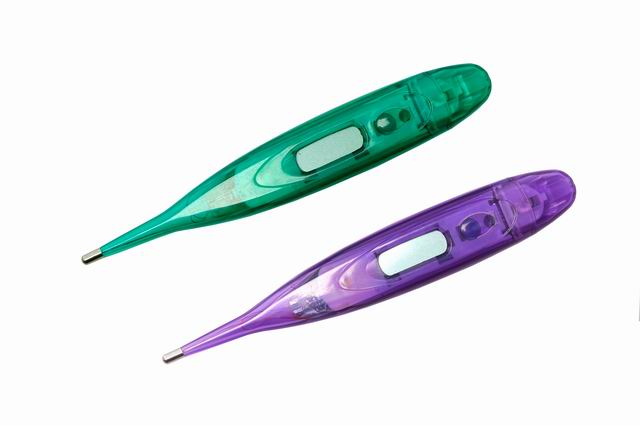  Digital Thermometer