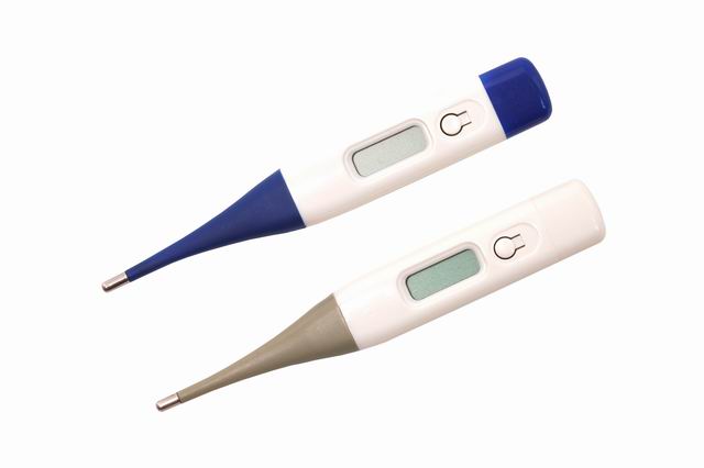  Digital Thermometer With Flexible Tip