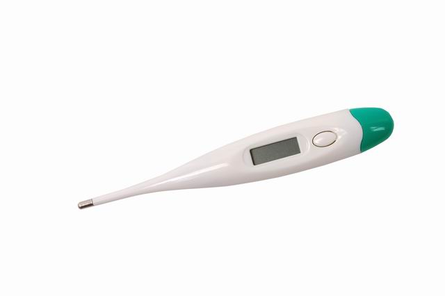  Digital Thermometer