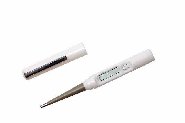  Digital Thermometer With Flexible Tip
