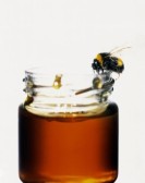  Honeydew (Pine) Honey (Miellat (Pine) Honey)
