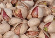  Pistachio (Pistazie)