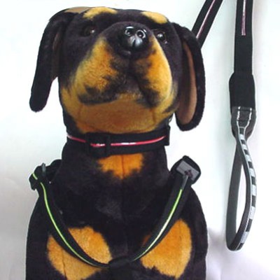  Pet Lead, Pet Collar, Dog Harness