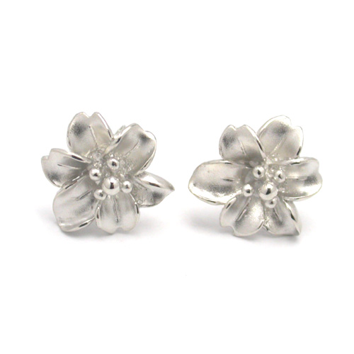  925 Silver Earrings